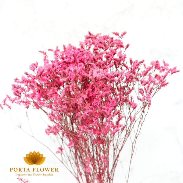 preserved limonium pink