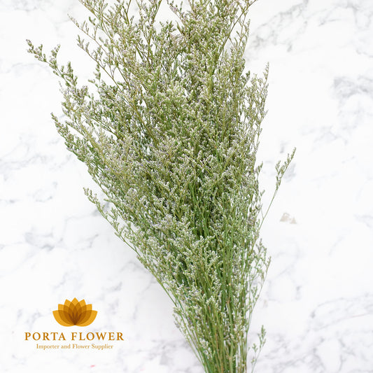 preserved caspea green