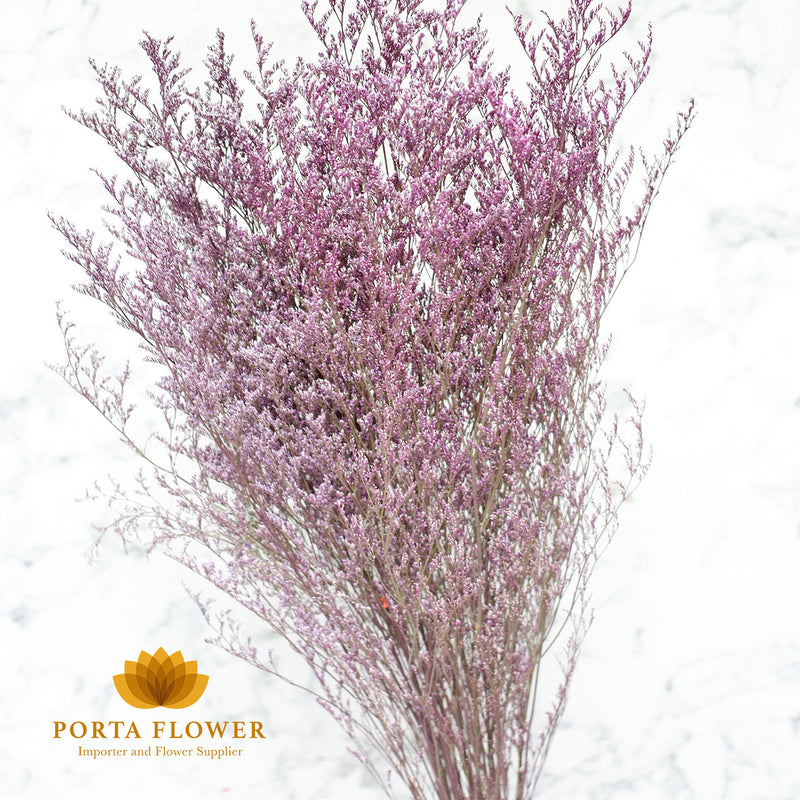 preserved caspea light purple