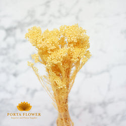 preserved rice flower yellow