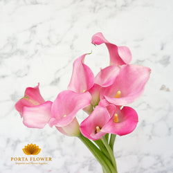 calla sweet pink