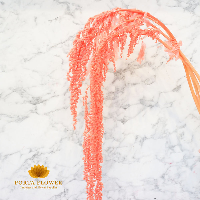 preserved amaranthus hanging orange