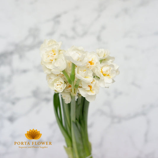 daffodil bridal crown