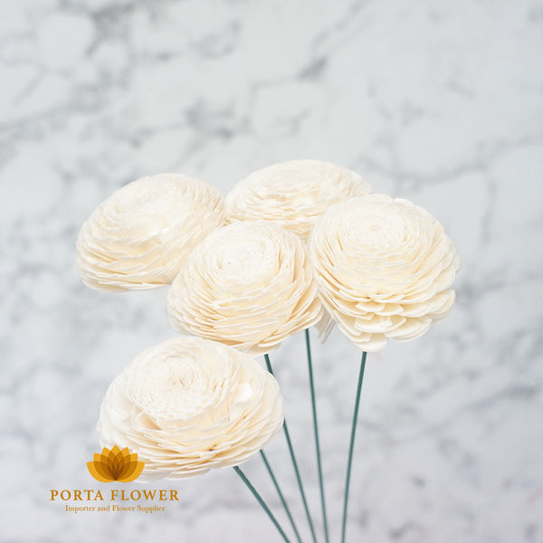 ranunculus dried white handmade