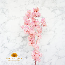 dried Bougainville soft pink