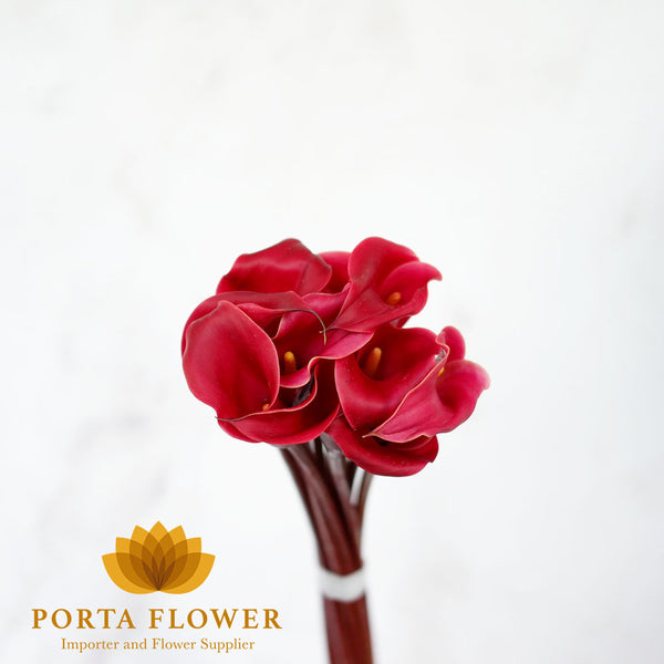 calla red charm