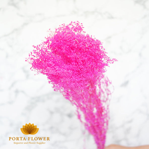 dried brooms dark pink