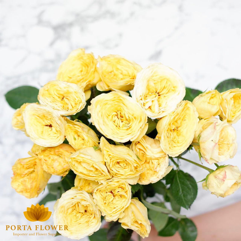 Rose spray garden lemon pompon