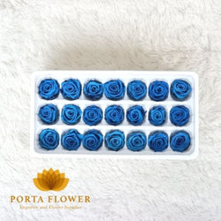 preserved rose 2-3cm blue (21 pcs)