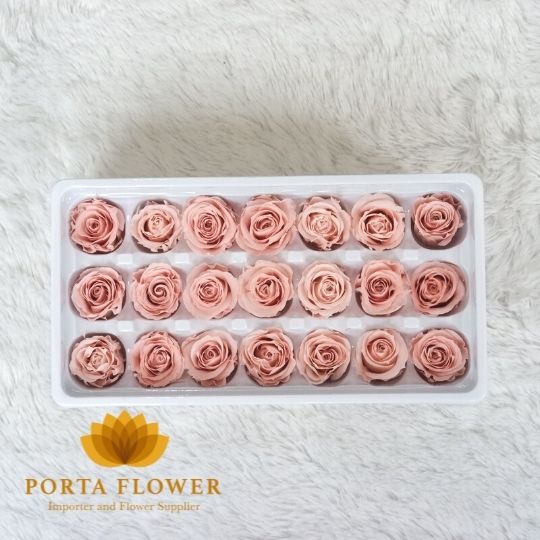 preserved rose 2-3cm deep peach