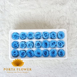 preserved rose 2-3cm light blue