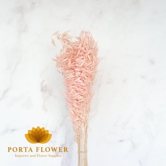 dried avena soft pink