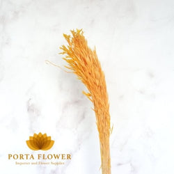 dried avena soft orange