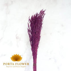 dried avena purple