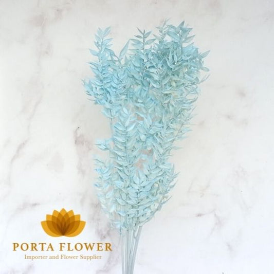 preserved ruscus tiffany blue